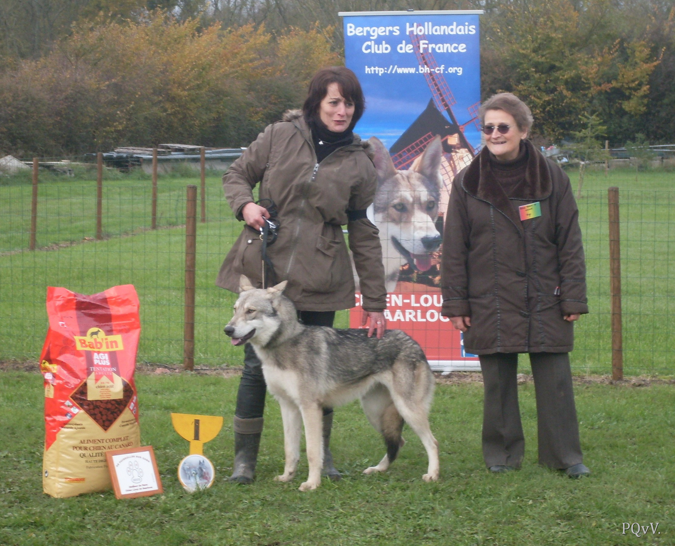  meilleur femelle, Gimini Criquette d’Angeli Fee